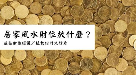 財位要放什麼|2024 居家風水財位放什麼？選這些財位擺設／植物招。